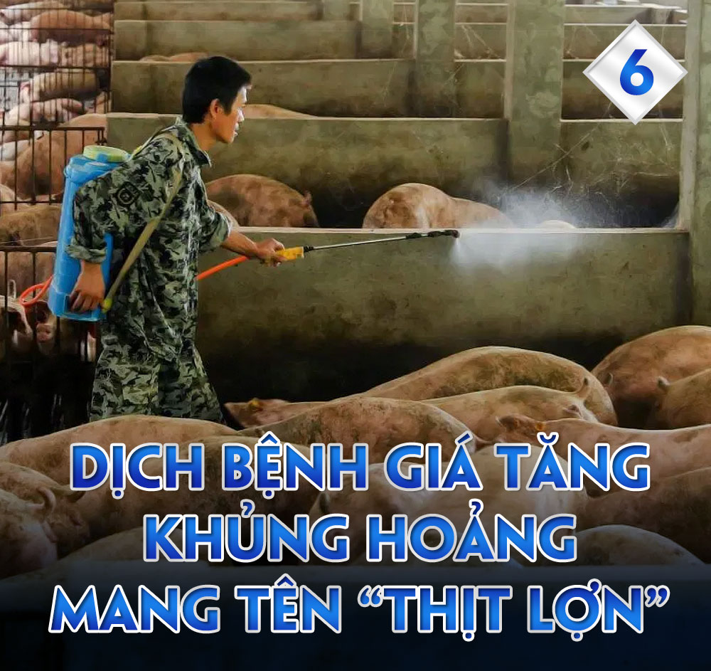 Dấu ấn kinh tế 2019