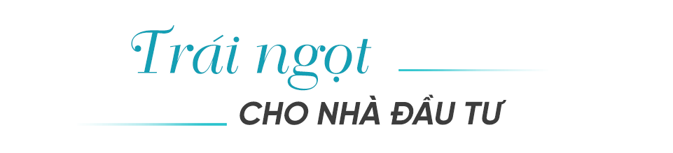 Sungroup nam phú quốc