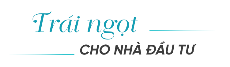 Sungroup nam phú quốc